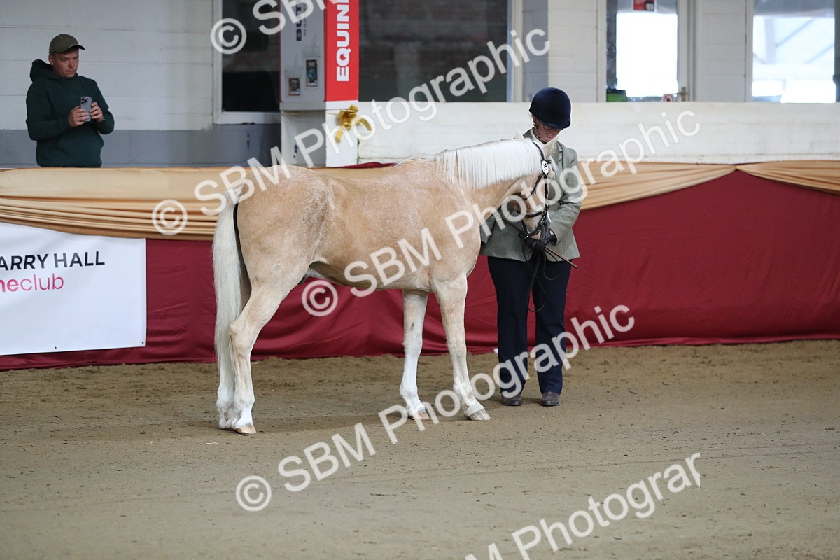SBM_00253 - Class 1a - Area IH Diamond