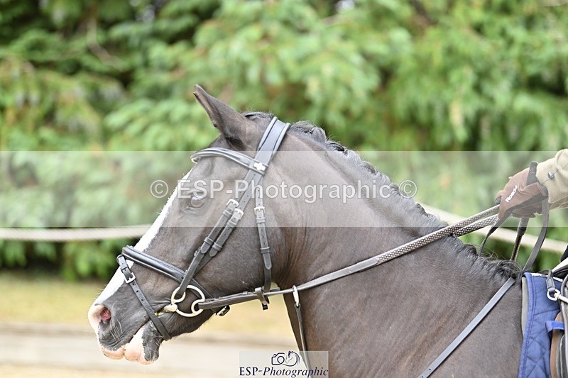 250820A-115923-04011 - Round 1, 11am to End