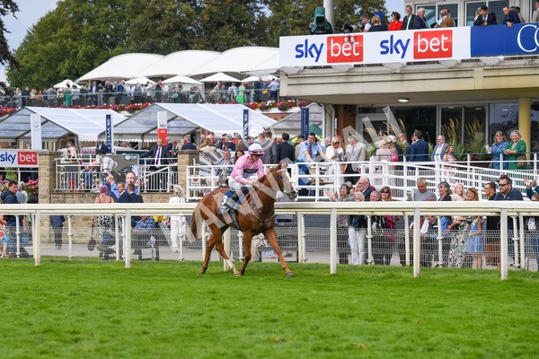 250823-Race 4-Live In The Dream-0697 - Race 4 3.35pm Coolmore Wootton Bassett Nunthorpe Stakes