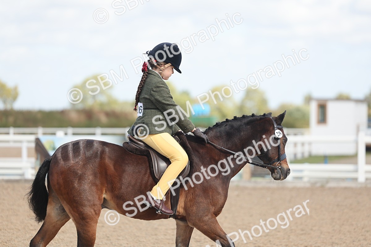 SBM_23134 - Class 806 - Young Rider 10ry and Under