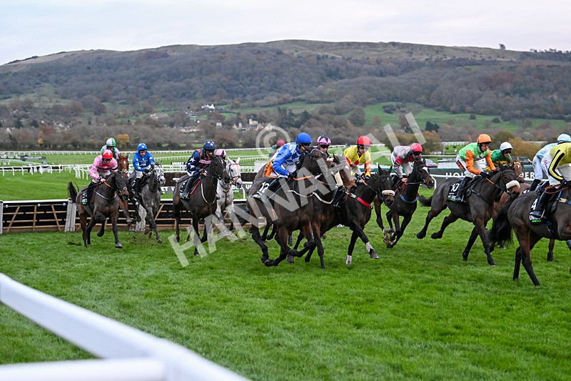 171124-Race 5-Napper Tandy-4218 - Race 5