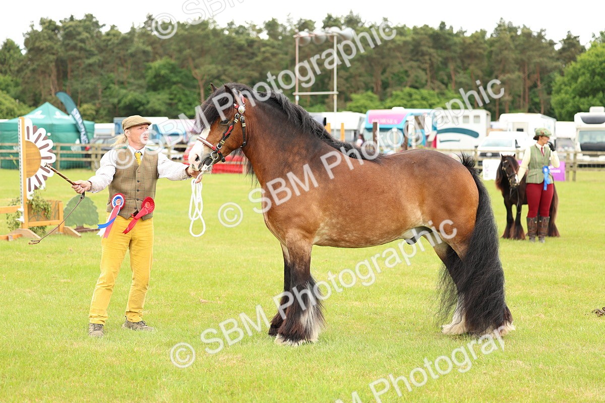 SBM_06323 - Class 39-41 TGCA In Hand and Ridden