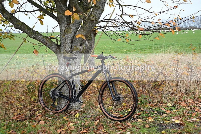 WJ6_9308 - Ride