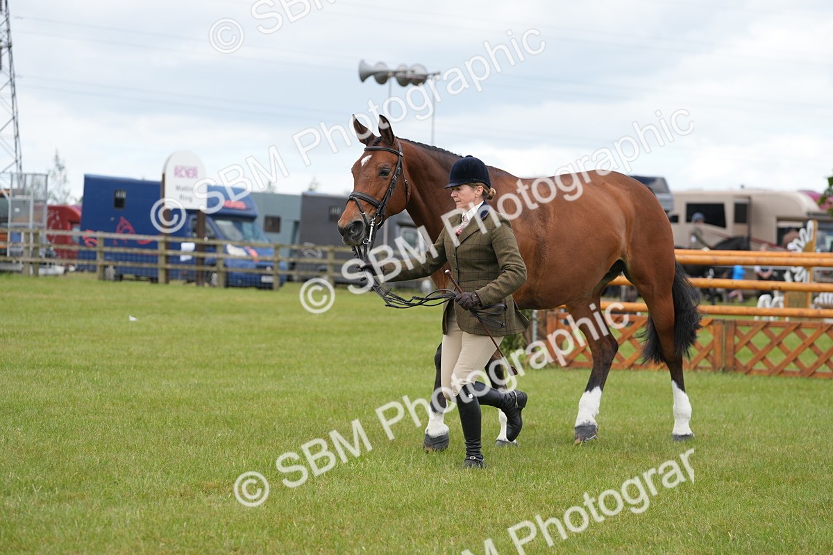 SBM_15049 - Class 100-102 - RIHS Working Hunter