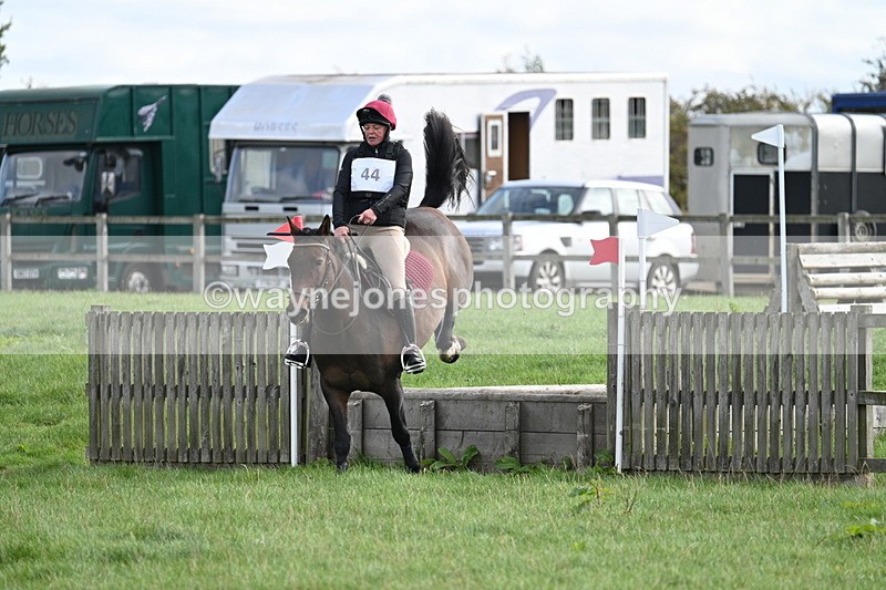 WJ7_8335 - 60cm Pairs