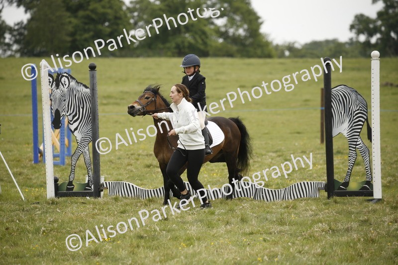 20250517-0102 - Class 1 - 30cm On Lead Rein
