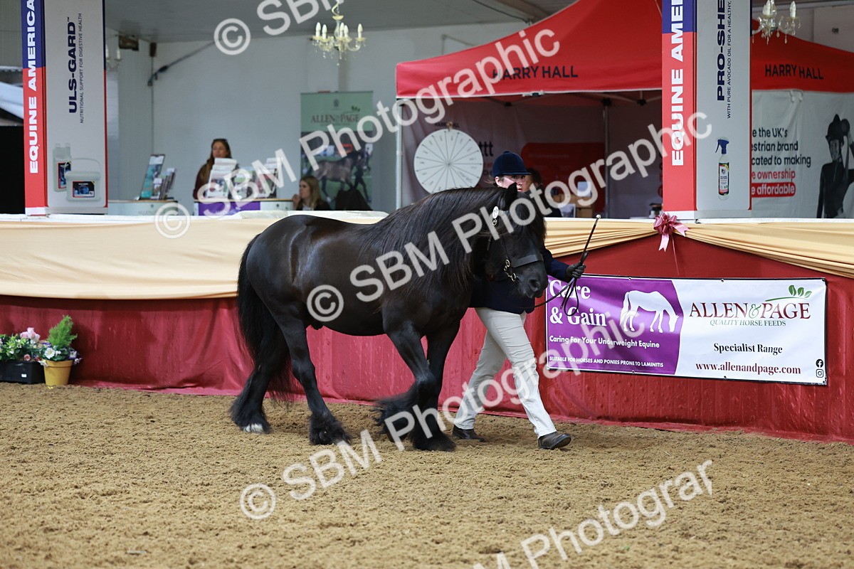 SBM_17314 - Class 951 - M&M IH Supreme Final