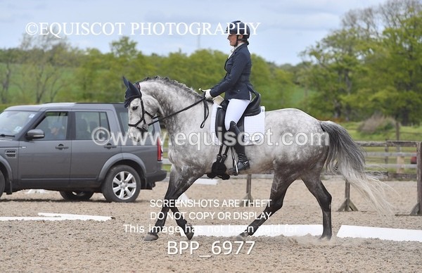BPP_6977 - 32 P PARKER