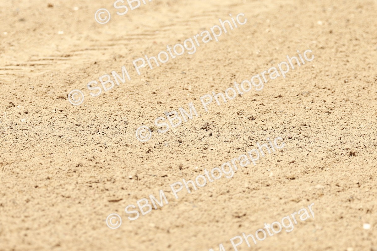 SBM_022720 - Class 23 - FEI int I