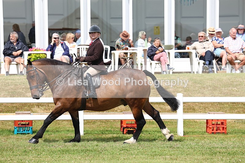 3E7A0577 - Rising Star Ridden Championship