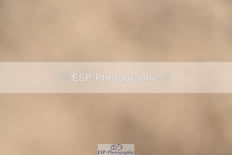 240514A-162738-00044 - 70cm