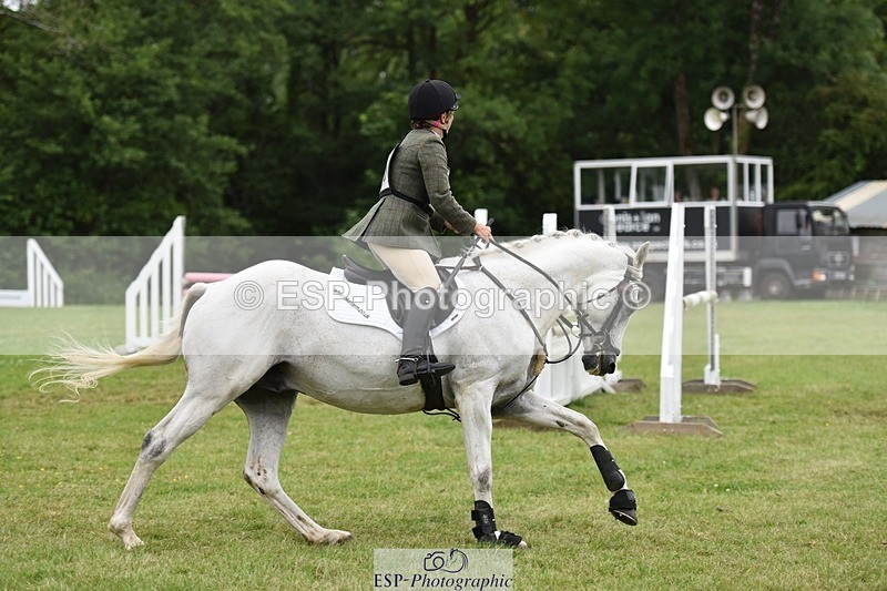 140103-031550-07674 - BE Novice SJ