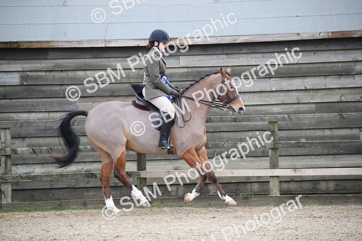 SBM_004700 - Class 5-9 - NPS In Hand-Show Hunter-Intermediate Ridden Inc Ridden Championship