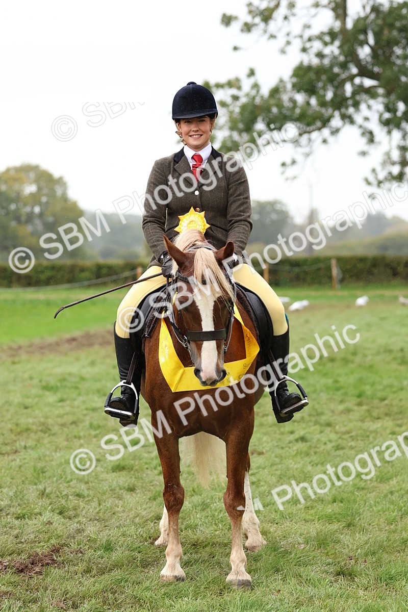 SBM_69750 - S62 - Mountain & Moorland Ridden Large Breeds