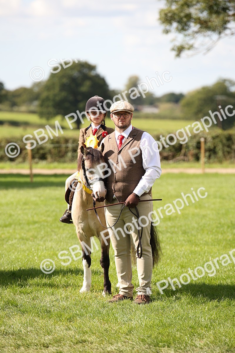 SBM_40916 - Fun Showing Supreme Championship