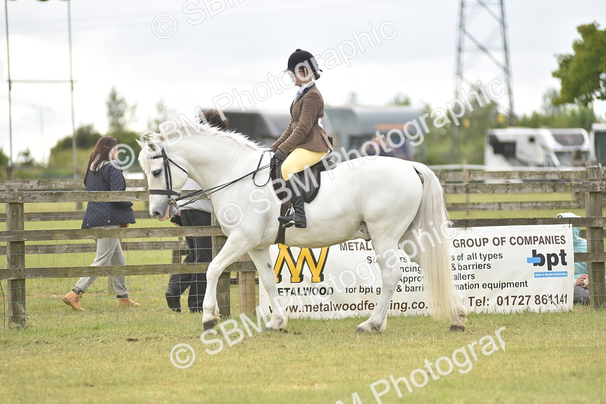 SBM_17741 - Class 122-123 - LIHS BHSA Raising Star Style and Performance Series