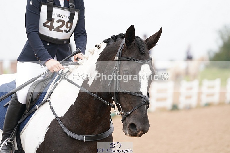 240901A-092522-05356 - 429-Maisie.Jenssen-CAPPA.RATHMORRISSEY.LADY.GERTRUDE