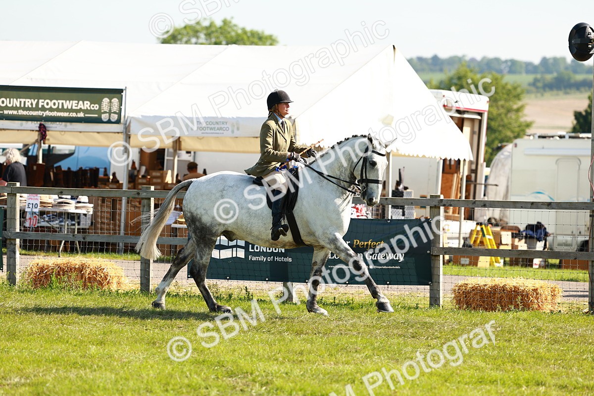 SBM_11901 - Class 66-69 - RIHS Ridden Hunters Inc Small Hunter