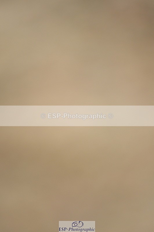 230916A-114740-03709 - Cls 22 95cm Amateur Qualifier