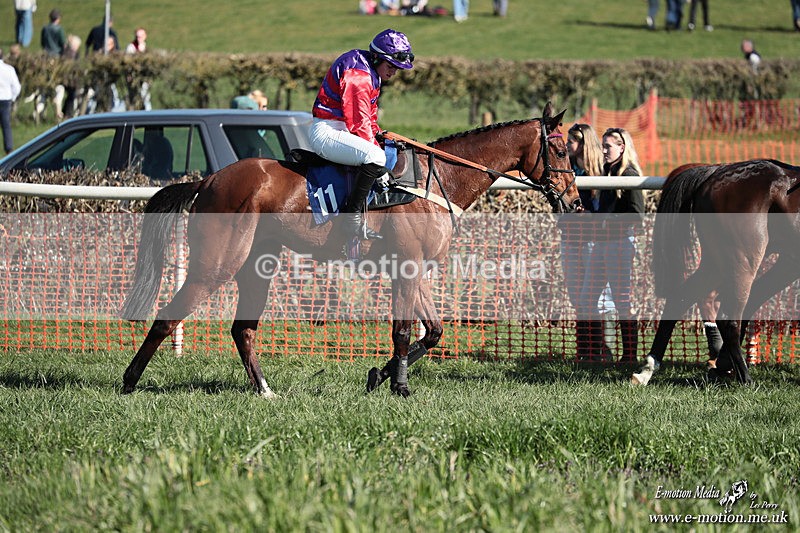 PtP 210326 436 - VWH Cirencester Races 21/03/26