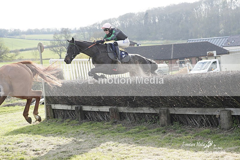 PtP 080423 774 - Dingley Races The Woodland Pytchley Hunt PtP 08/04/23