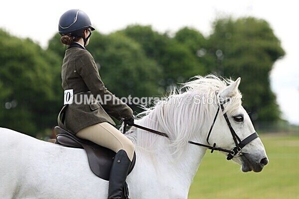 IMG_2492 - Working Hunter