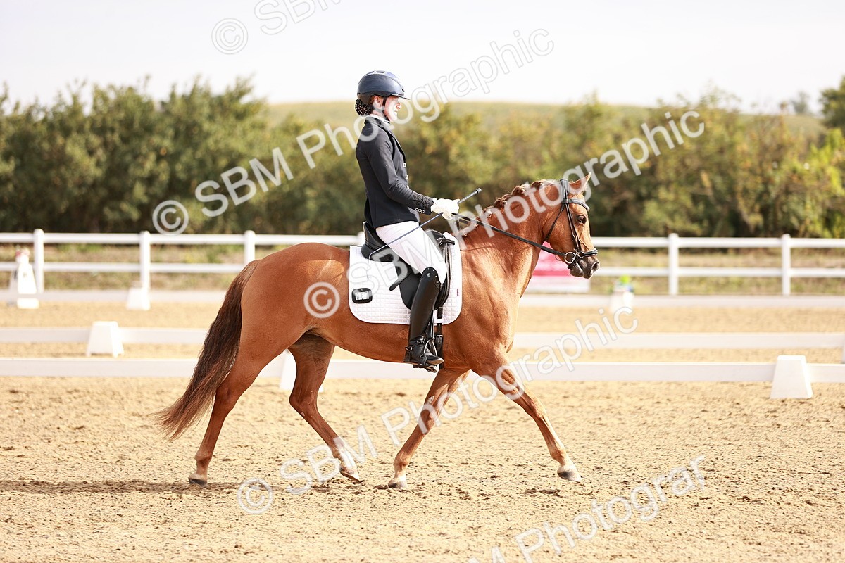 SBM_016920 - Class 10 - Medium 6