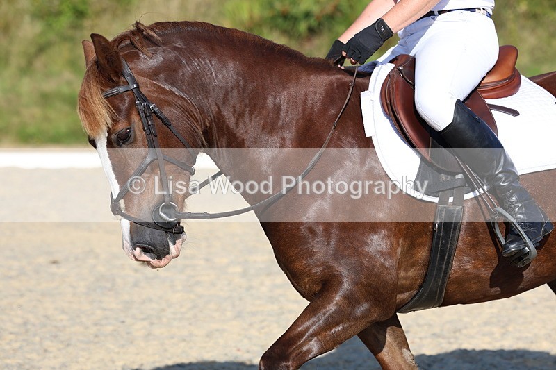 3E7A3685 - Class 2: Intro 1 2024 Section B