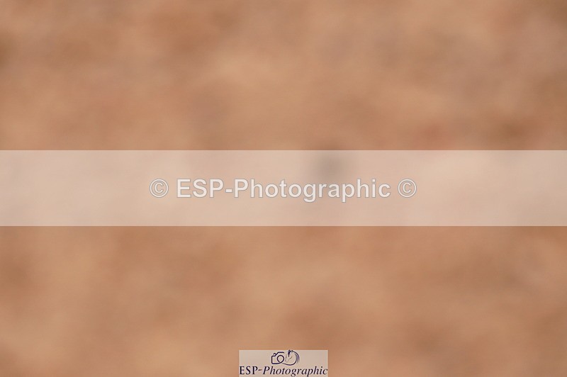 240628A-182502-00754 - Cls 3 1m Open