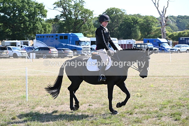 WJ6_7530 - Class 34 Judges Choice