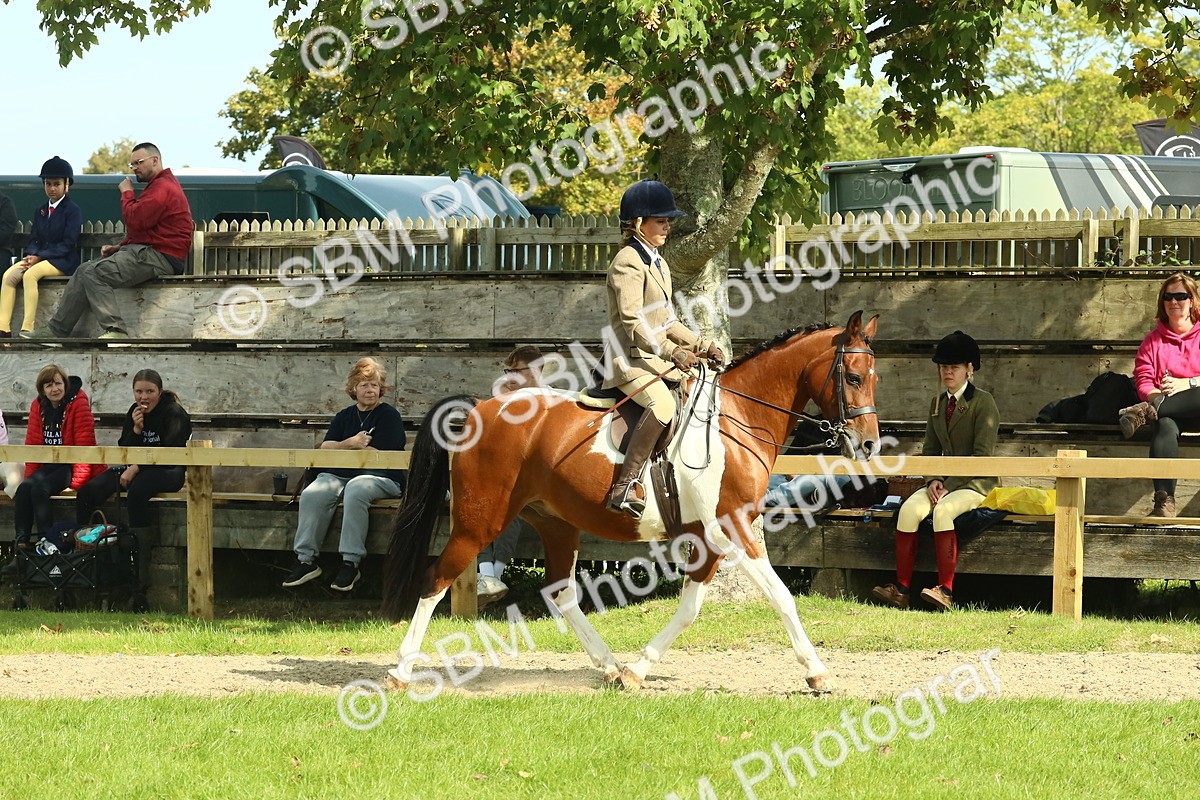 SBM_67491 - S56 - Coloured Pony Ridden