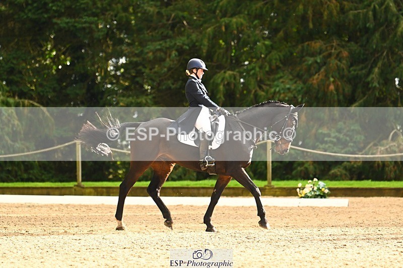 231021-153213-20884 - 259-BOSTON.IV-Rosie.Thomson-DR