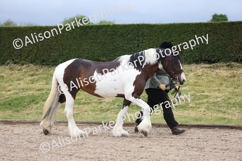 20250524-0003 - Class 1 - Best Condition