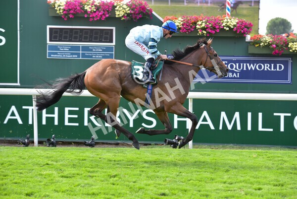 yr19082022r2-46 - Race 2 2.25pm Weatherbys Hamilton Lonsdale Cup (British Champions Series Race)