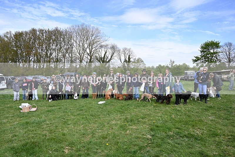 WJ6_9185 - Class 8 Best Working / Gun Dog or Bitch