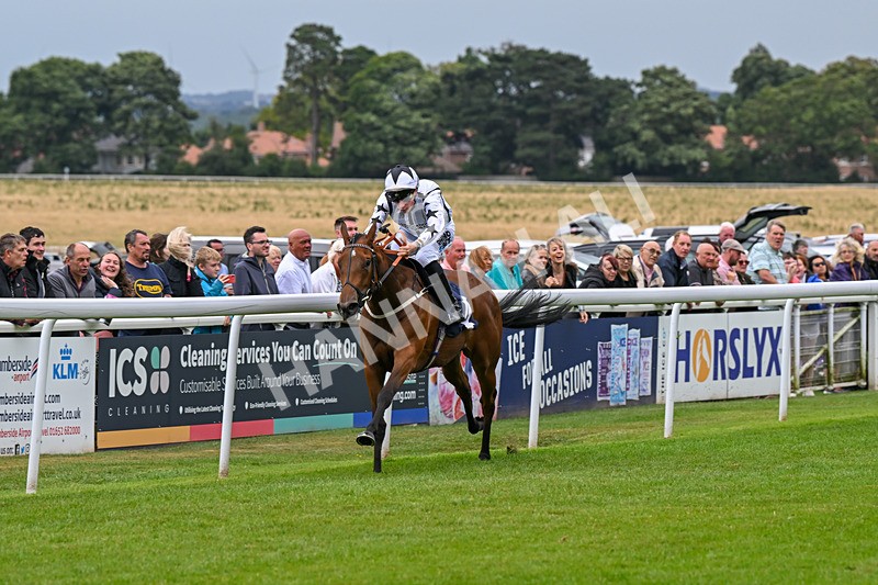 150824-Race 2-Greek Gift-7648 - Race 2