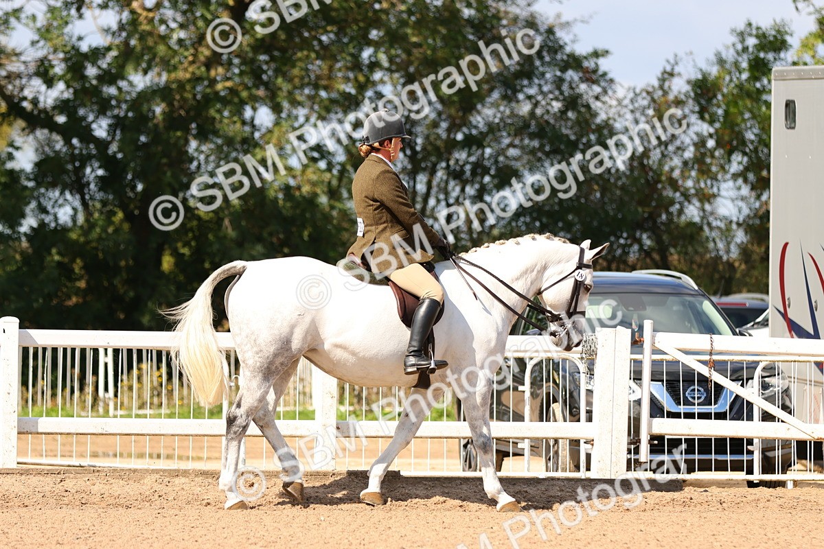 SBM_13157 - Class 211 - Ridden Hunter - Small