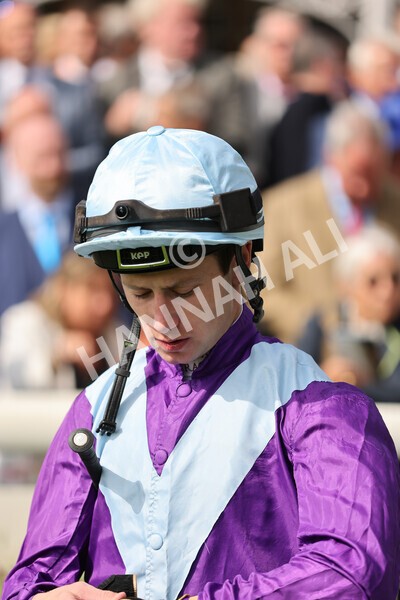 yr18082021r4-12 - Race 4 3.35pm Juddmonte International Stakes (British Champion Series race)