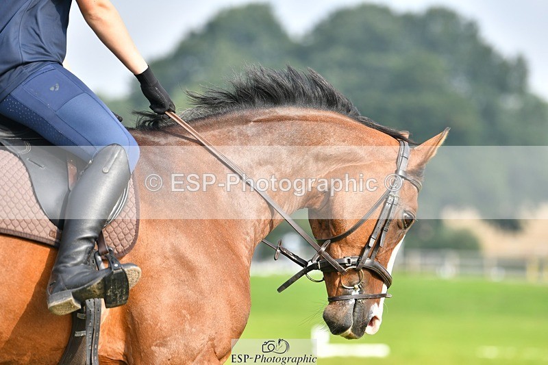 230817-093128-02578 - Abbie's 1st Group - Dressage