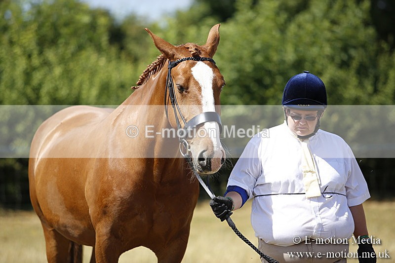 _C7A9740 - BVRC Sow 2018 Ring 2