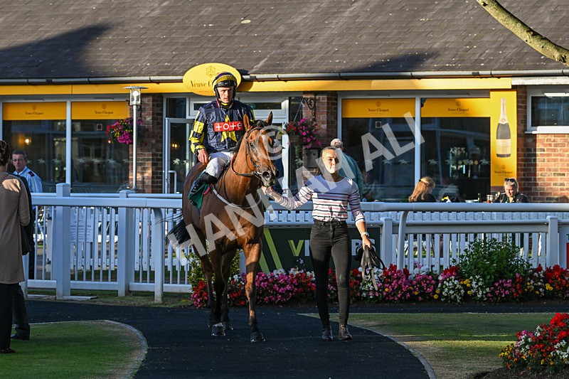 160824-Race 5-Ready Freddie Go-9605 - Race 5