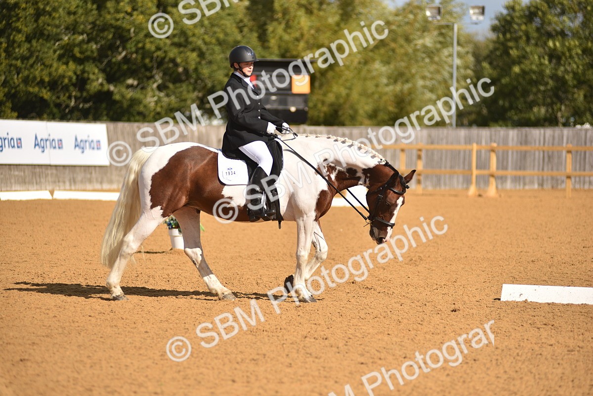 SBM_03187 - D4 - Small Tour Championship Intro 4