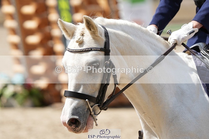 250821A-131713-16136 - WC Round 2 13.00 to 14.00