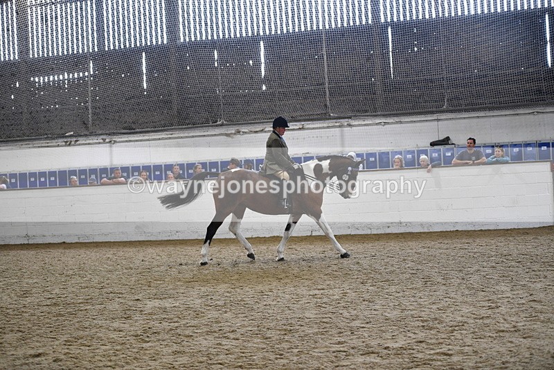 WJ5_6047 - Class 9 Ridden Veteran