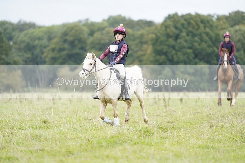 _DSC6941 - Time at Photographer 10:13 to 10:42