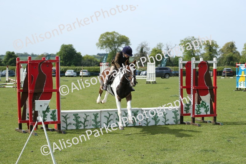 20260426-1784 - Class 14 - Novice 60cm