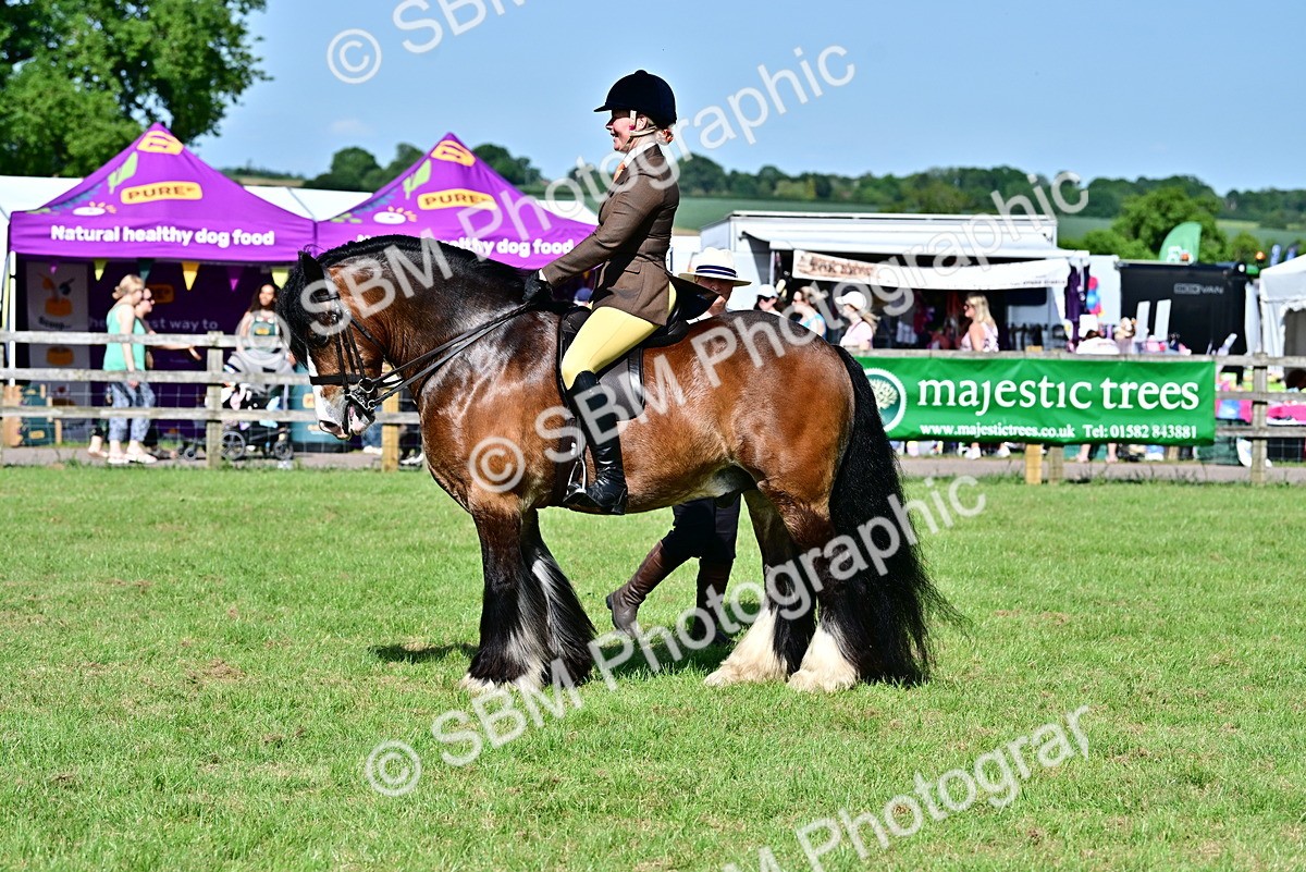 SBM_09354