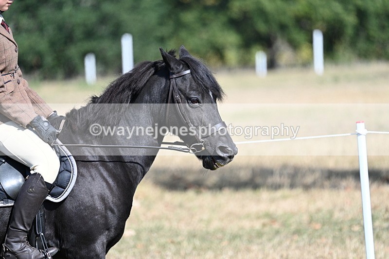 WJ7_3467 - Class 9 Mountain & Moorland Ridden
