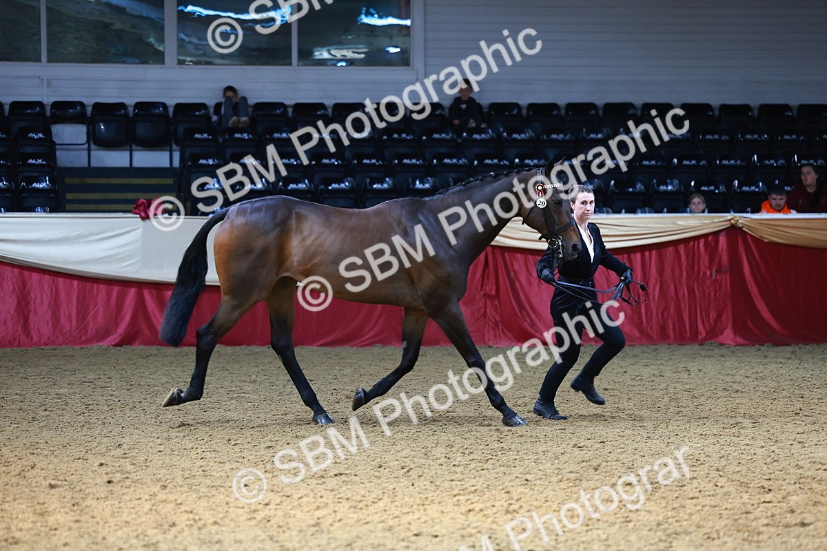 SBM_22324 - Class 902 - Supreme Final - IH Diamond