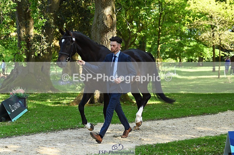 230524-161724-00816 - 258-DHI_KING_NELSON-Barnie_Brotherton-WEDTrotUp+DR